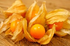 農業自動氣象站助力菇娘規?；N植