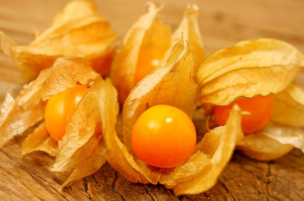 農業自動氣象站助力菇娘規?；N植